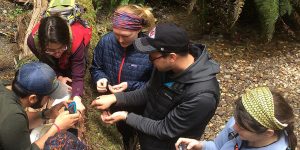 About Environmental Education at Southern Oregon University on Twitter