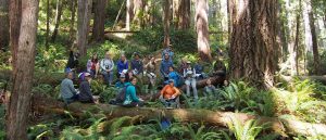 Environmental Education Students in Red Woods