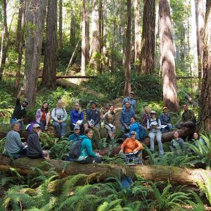 SOU Environmental Education Field Trip Redwood Forest Ecosystem