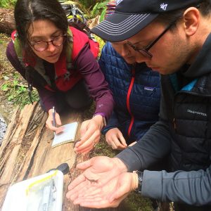 SOU Environmental Education in the Redwood Forest