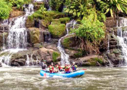 SOU Ecoadventure Explore Ecuadors Andes and Amazon Cover