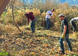 The Farm at SOU Wetland Restoration Story