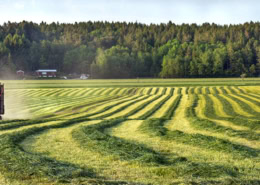 SOU Environmental Science & Policy Blog Agricultural Futures Cover