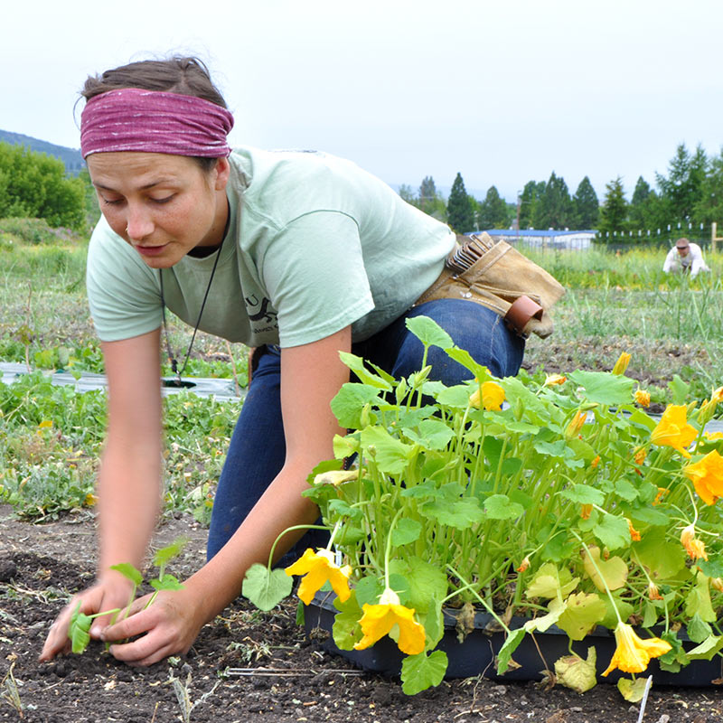 Sustainable Food Systems Micro-Credential Southern Oregon University Learn More