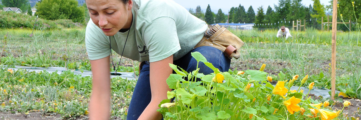 Sustainable Food Systems Micro-Credential Southern Oregon University