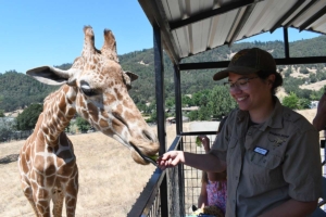 Sophia with Giraffe