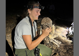 Building Bridges and Connecting People to Wildlife SOU Alum Maya Smith Story Learn More
