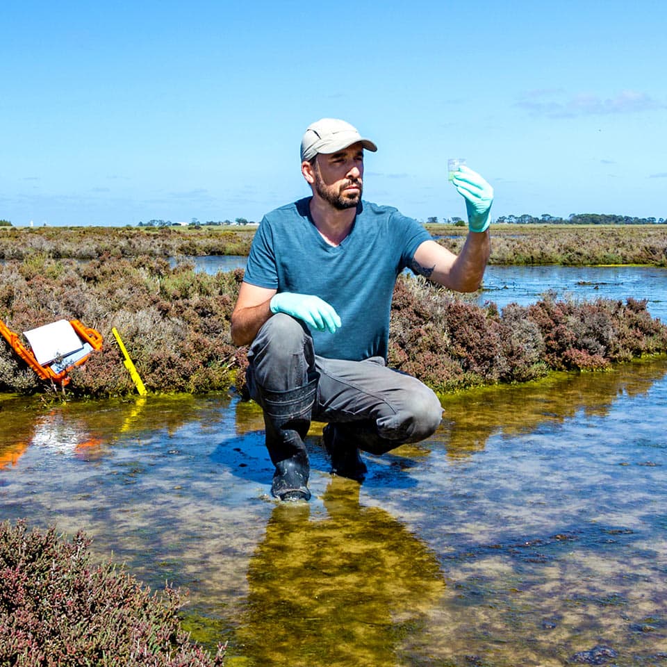 SOU Wildlife Ecology and Conservation Certificate Program Southern Oregon University Learn More