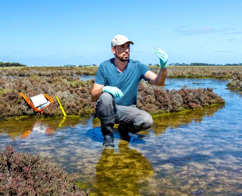 SOU Wildlife Ecology and Conservation Certificate Program Southern Oregon University Meta