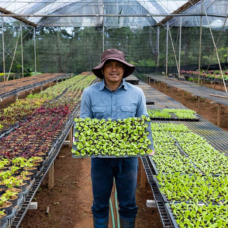 SOU Certificate in Environmental Horticulture Southern Oregon University Ashland Learn More