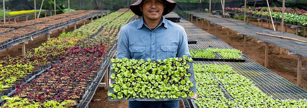 SOU Certificate in Environmental Horticulture Southern Oregon University Ashland Meta