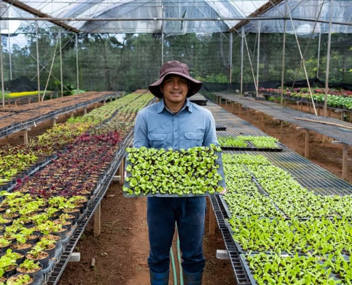 SOU Certificate in Environmental Horticulture Southern Oregon University Ashland Meta