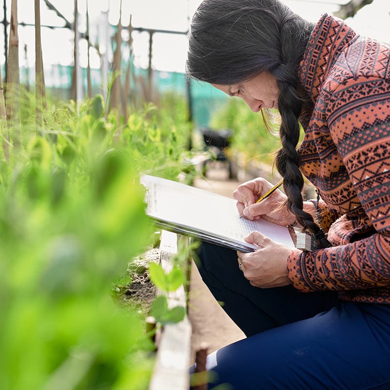 SOU Certificate in Horticulture Business Southern Oregon University Learn More