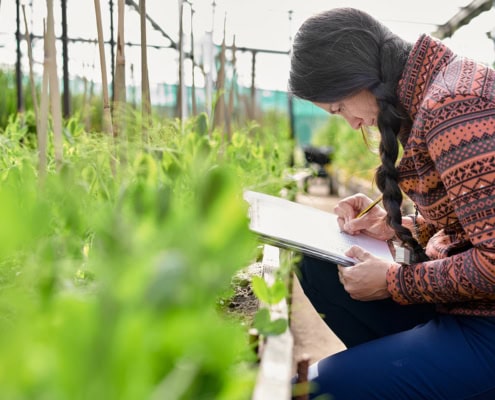 SOU Certificate in Horticulture Business Southern Oregon University Meta