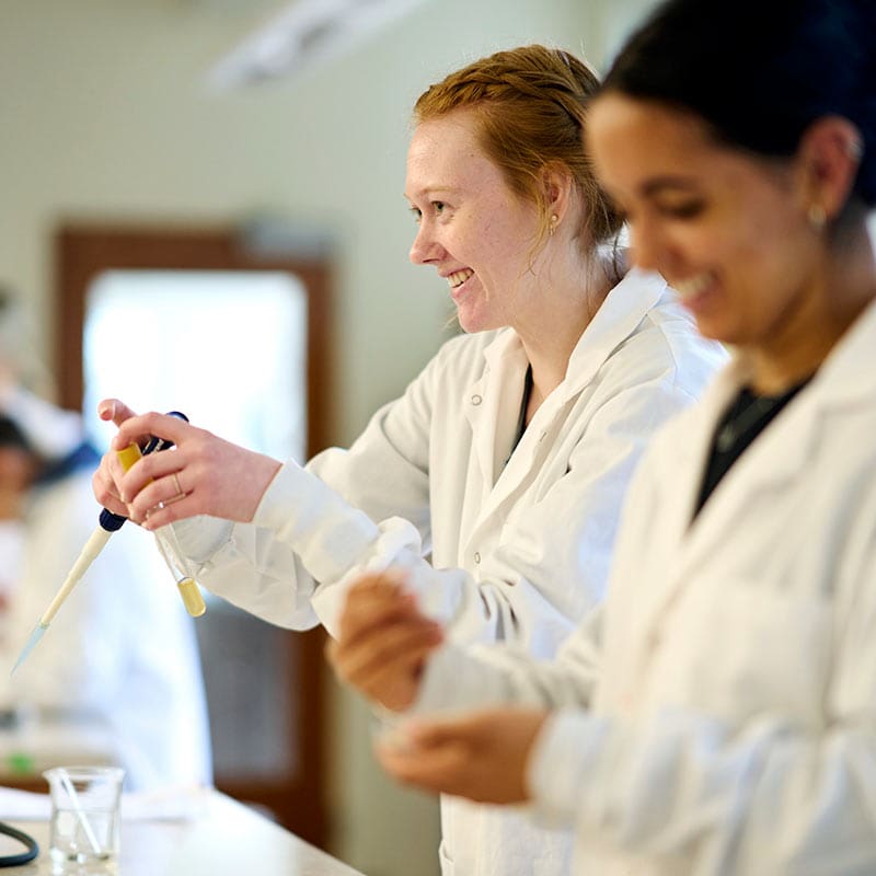 SOU Certificate in Physician Assistant and Chiropractic Southern Oregon University Ashland Learn More