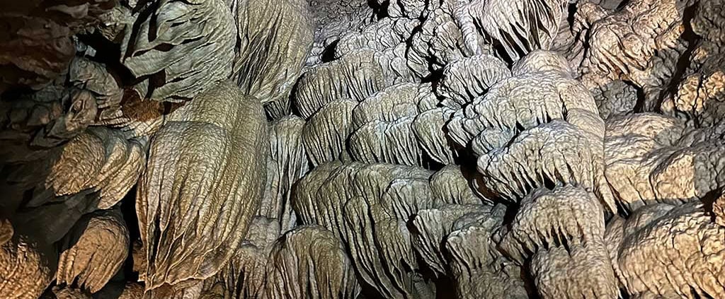 Oregon Caves National Monument EcoAdventure Learn More
