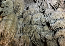 Oregon Caves National Monument EcoAdventure Learn More