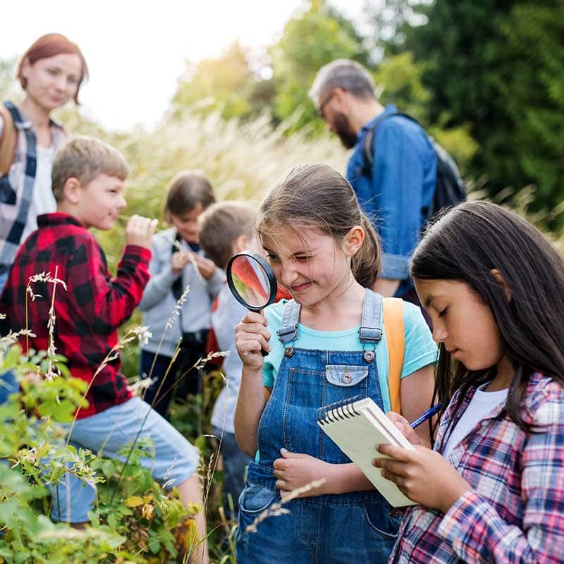 School children exploring the outdoors during class
