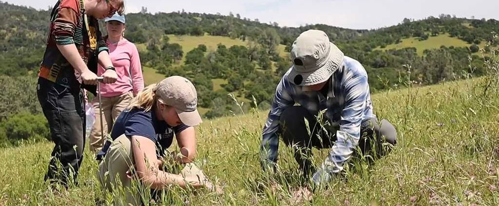 Grassland Fieldwork EcoAdventure Learn More