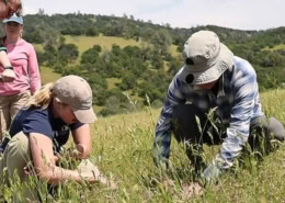 Grassland Fieldwork EcoAdventure Learn More