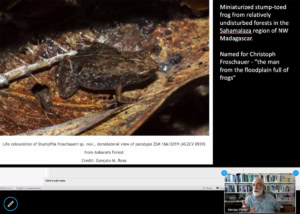 Michael Parker SOU Biolog Professor Zoom Stump Toed Frog