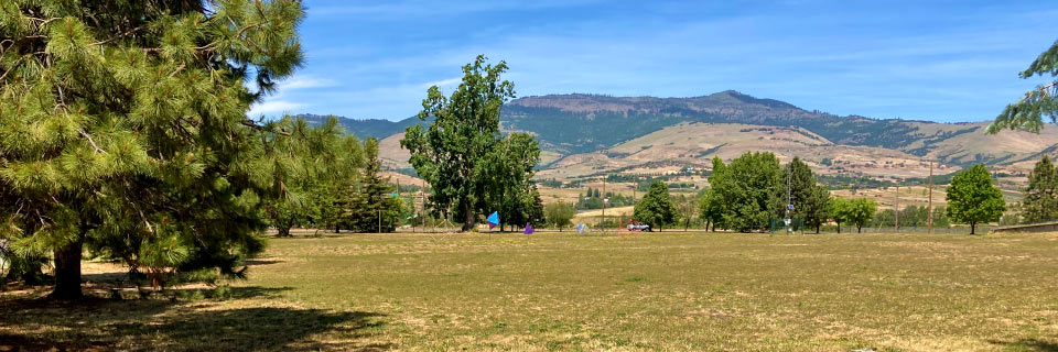 SOU Properties Task Force